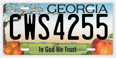 GA license plate CWS4255
