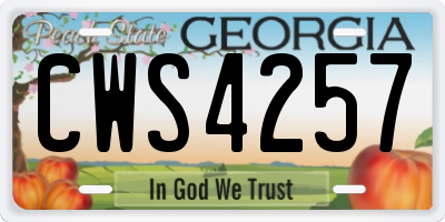 GA license plate CWS4257