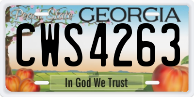 GA license plate CWS4263
