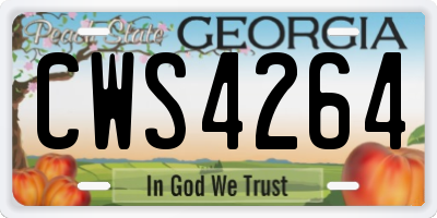 GA license plate CWS4264