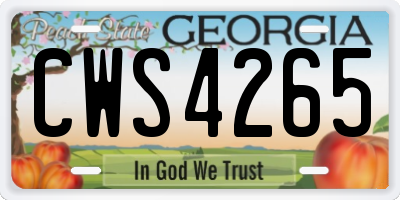 GA license plate CWS4265