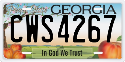 GA license plate CWS4267