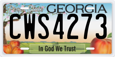 GA license plate CWS4273