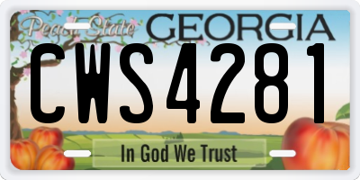 GA license plate CWS4281