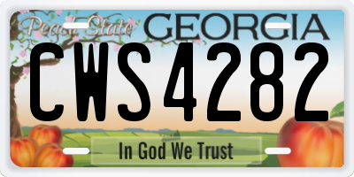 GA license plate CWS4282