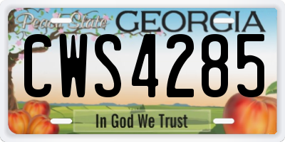GA license plate CWS4285