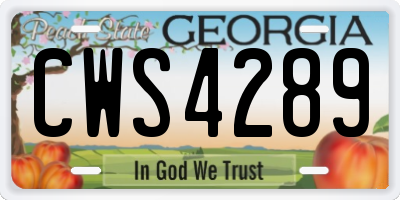 GA license plate CWS4289