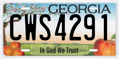 GA license plate CWS4291