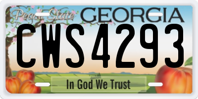 GA license plate CWS4293