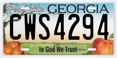 GA license plate CWS4294
