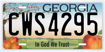 GA license plate CWS4295