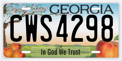 GA license plate CWS4298
