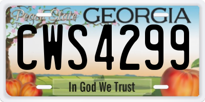 GA license plate CWS4299