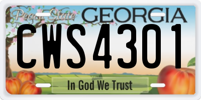 GA license plate CWS4301