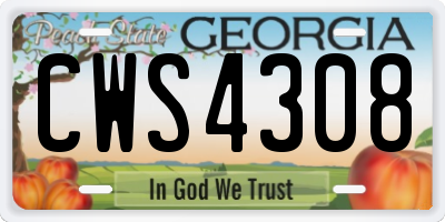GA license plate CWS4308