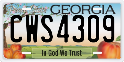 GA license plate CWS4309