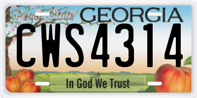 GA license plate CWS4314
