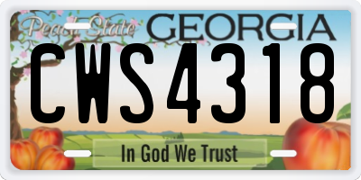 GA license plate CWS4318