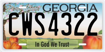 GA license plate CWS4322