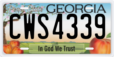 GA license plate CWS4339