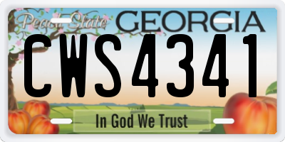 GA license plate CWS4341
