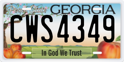 GA license plate CWS4349