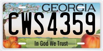 GA license plate CWS4359