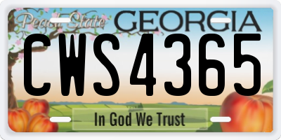 GA license plate CWS4365
