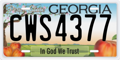 GA license plate CWS4377