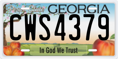 GA license plate CWS4379