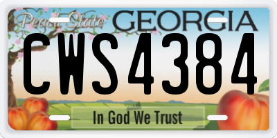 GA license plate CWS4384