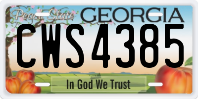 GA license plate CWS4385