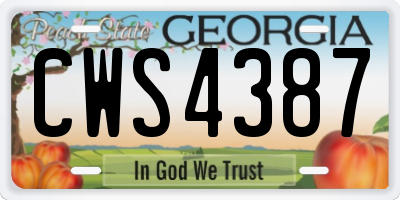 GA license plate CWS4387