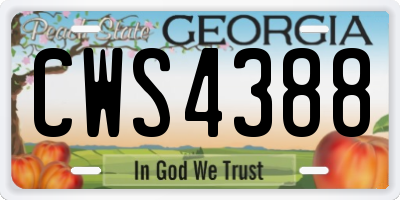 GA license plate CWS4388