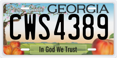 GA license plate CWS4389