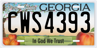 GA license plate CWS4393