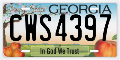 GA license plate CWS4397