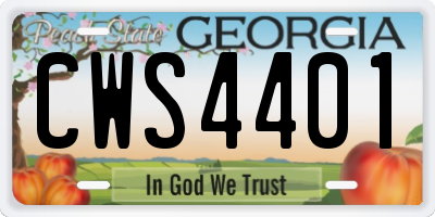 GA license plate CWS4401