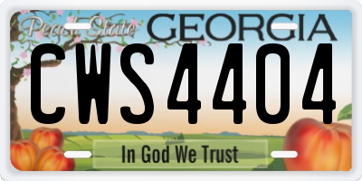 GA license plate CWS4404