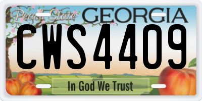 GA license plate CWS4409
