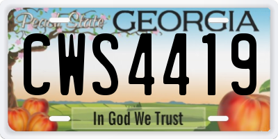 GA license plate CWS4419