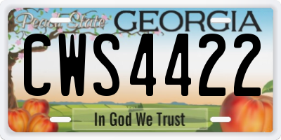 GA license plate CWS4422
