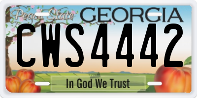GA license plate CWS4442