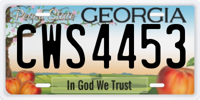GA license plate CWS4453