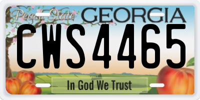 GA license plate CWS4465