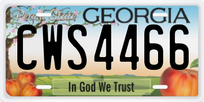 GA license plate CWS4466