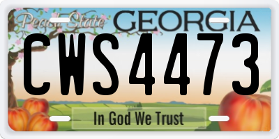 GA license plate CWS4473