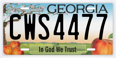 GA license plate CWS4477
