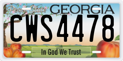GA license plate CWS4478