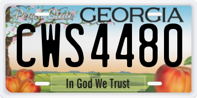 GA license plate CWS4480